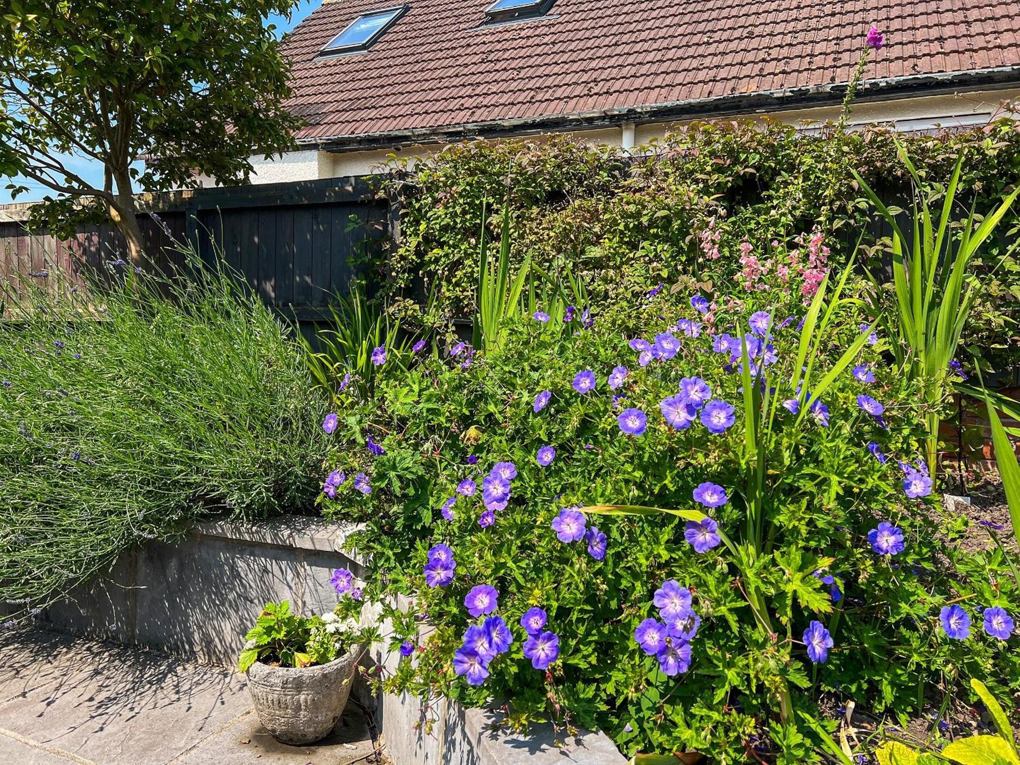 Cwtch Cottage Cardiff Eksteriør billede